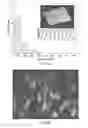 Fig. 08 - Protein films and methods of forming the same