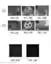 Fig. 11 - Nanofibrous spongy microspheres