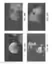 Fig. 15 - Nanofibrous spongy microspheres
