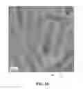 Fig. 11 - Semiconductor structure having nanocrystalline core and nanocrystalline shell pairing with compositional transition layer