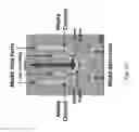 Fig. 03 - Engineering of a novel breast tumor microenvironment on a microfluidic chip