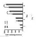 Fig. 10 - Engineering of a novel breast tumor microenvironment on a microfluidic chip