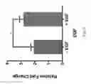 Fig. 12 - Engineering of a novel breast tumor microenvironment on a microfluidic chip