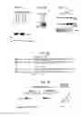 Fig. 03 - Compositions of active Wnt protein