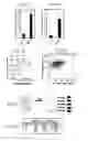 Fig. 04 - Compositions of active Wnt protein