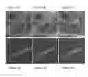 Fig. 04 - Methods of obtaining cell populations enriched with desired cells