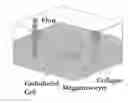 Fig. 01 - BLOOD-CELL PRODUCING BIO-MICROREACTOR