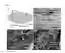 Fig. 02 - BLOOD-CELL PRODUCING BIO-MICROREACTOR