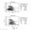 Fig. 02 - EXPANSION OF RENEWABLE STEM CELL POPULATIONS