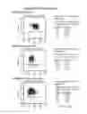 Fig. 12 - EXPANSION OF RENEWABLE STEM CELL POPULATIONS
