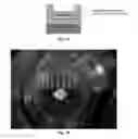 Fig. 03 - Engineered renal tissues, arrays thereof, and methods of making the same