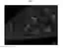 Fig. 05 - Engineered renal tissues, arrays thereof, and methods of making the same