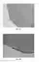 Fig. 08 - Engineered renal tissues, arrays thereof, and methods of making the same