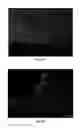 Fig. 09 - Engineered renal tissues, arrays thereof, and methods of making the same