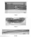 Fig. 16 - Engineered renal tissues, arrays thereof, and methods of making the same