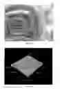 Fig. 17 - Engineered renal tissues, arrays thereof, and methods of making the same