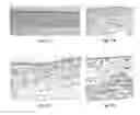 Fig. 18 - Engineered renal tissues, arrays thereof, and methods of making the same