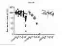 Fig. 19 - Engineered renal tissues, arrays thereof, and methods of making the same