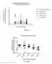 Fig. 20 - Engineered renal tissues, arrays thereof, and methods of making the same