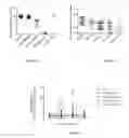 Fig. 22 - Engineered renal tissues, arrays thereof, and methods of making the same