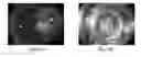 Fig. 25 - Engineered renal tissues, arrays thereof, and methods of making the same