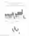 Fig. 06 - Enzymes