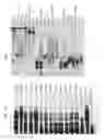 Fig. 08 - Enzymes