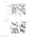Fig. 14 - Enzymes