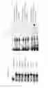 Fig. 15 - Enzymes