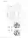 Fig. 18 - Enzymes