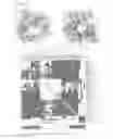 Fig. 24 - Enzymes