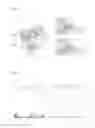 Fig. 32 - Enzymes
