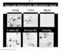 Fig. 06 - Internal protein tags