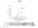 Fig. 09 - Internal protein tags