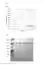 Fig. 06 - Recombinant cellulase and use thereof