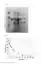Fig. 07 - Recombinant cellulase and use thereof