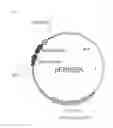 Fig. 07 - Nitrile hydratase