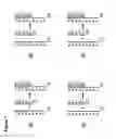 Fig. 02 - Methods and Devices for In Situ Nucleic Acid Synthesis