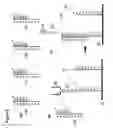 Fig. 10 - Methods and Devices for In Situ Nucleic Acid Synthesis