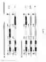 Fig. 14 - Enhanced expression and stability regions