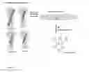 Fig. 03 - Production of Vectors for Non-Dividing Host Cells