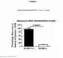 Fig. 03 - Viral vectors for the treatment of retinal dystrophy