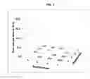 Fig. 06 - Modified polymerases for replication of threose nucleic acids