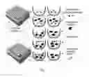 Fig. 06 - Screening assay for identification of poly(ADP-ribose) polymerase 1 inhibitors