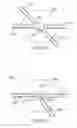Fig. 30 - Device and method for making discrete volumes of a first fluid in contact with a second fluid, which are immiscible with each other