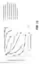 Fig. 19 - Methods of Genome Sequencing and Epigenetic Analysis