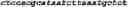 Fig. 04 - Methods for multiplexing recombinase polymerase amplification