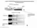 Fig. 10 - Methods for multiplexing recombinase polymerase amplification