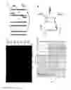 Fig. 13 - Methods for multiplexing recombinase polymerase amplification