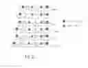 Fig. 07 - Polynucleotide mapping and sequencing